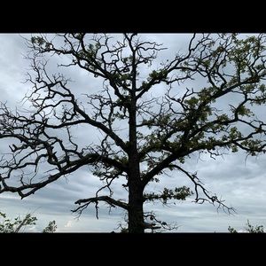 Meet your Posher, Adriana